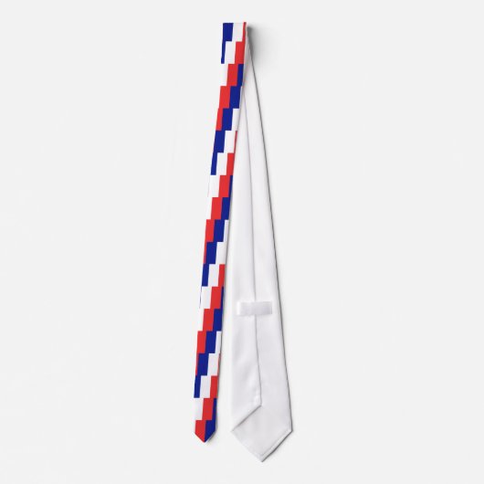 Cravate Drapeau français Tricolore (Dos)