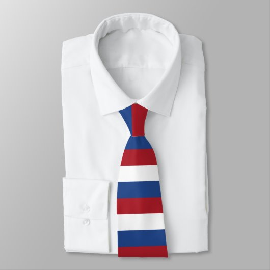 Cravate Drapeau Pays-Bas (Attaché)