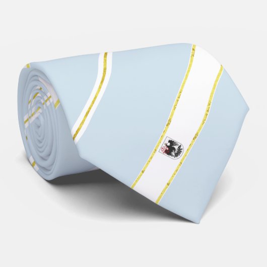 Cravate Drapeau rayé de Buenos Aires (Roulé)