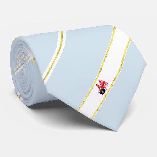 Cravate Drapeau rayé de Charleroi (Roulé)