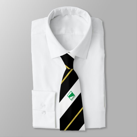 Cravate Drapeau rayé de l'Émilie-Romagne (Attaché)