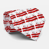 Cravate Drapeau Washington D.C. (Roulé)