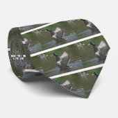 CRAVATE DSC_0504 (Roulé)