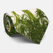 Cravate du centre de carottes (Roulé)