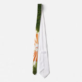 Cravate du centre de carottes (Dos)