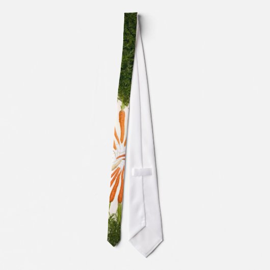 Cravate du centre de carottes (Dos)