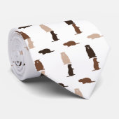 Cravate du jour de la marmotte (Roulé)