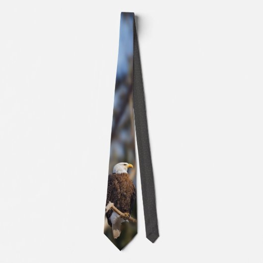 Cravate Eagle chauve (Devant)