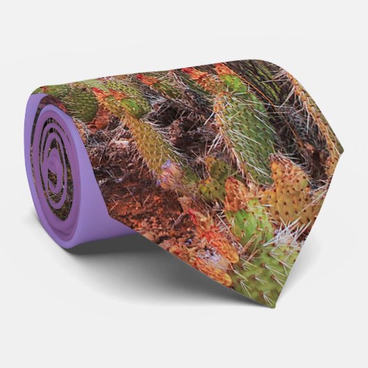 Cravate Eagle Crags Utah Sunset Paysage (Roulé)