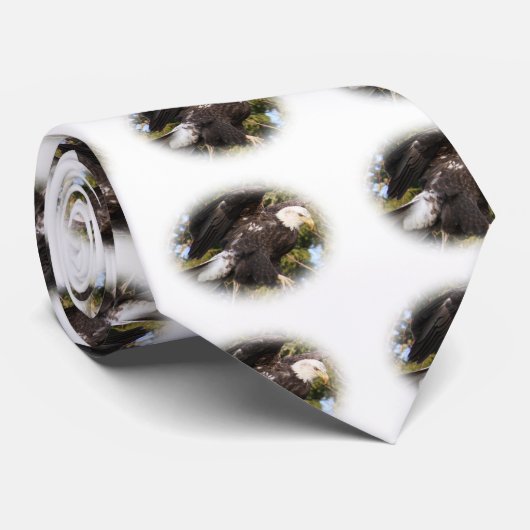 Cravate Eagle un (Roulé)