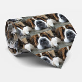 Cravate ebay 2010 172 (Roulé)