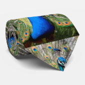 Cravate Écran de paon de portrait (Roulé)