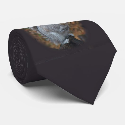 Cravate Écureuil gris de l'Est - Sciurus carolinen (Roulé)