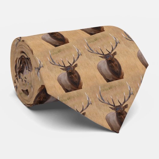 Cravate élans (Roulé)