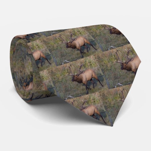 Cravate Élans 1 de Taureau (Roulé)