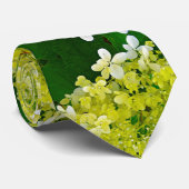 Cravate Élégante Chartreuse Vert Limelight Hydrangea (Roulé)