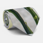 Cravate Elégante Crème Romantique & Orchidées Lilac (Roulé)