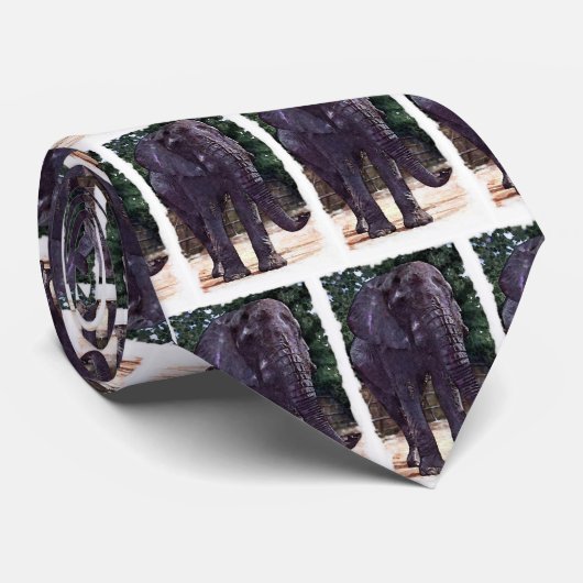 Cravate Eléphant africain (Roulé)