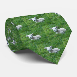 Cravate Élevage de moutons d'agneau sur l'herbe verte Impr