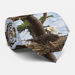 Cravate Emboîtement Eagle chauve