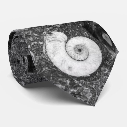 Cravate en pierre fossile d'Ammonite (Roulé)