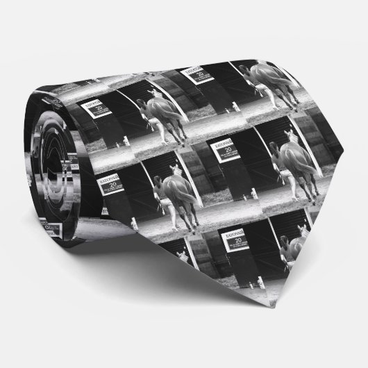 Cravate Enchères annuelles Fasig Tipton (Roulé)