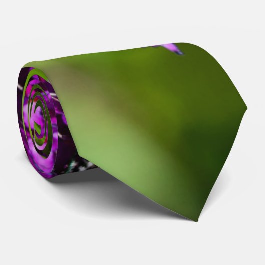 Cravate énergie katydone (Roulé)