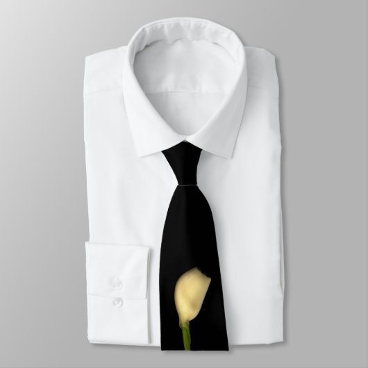 Cravate Ensemble nous pouvons (Attaché)