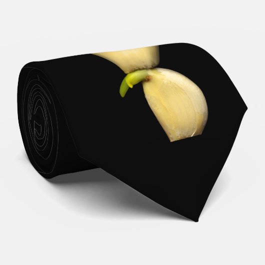 Cravate Ensemble nous pouvons (Roulé)