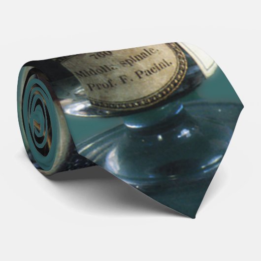 Cravate Épine préservée (Roulé)