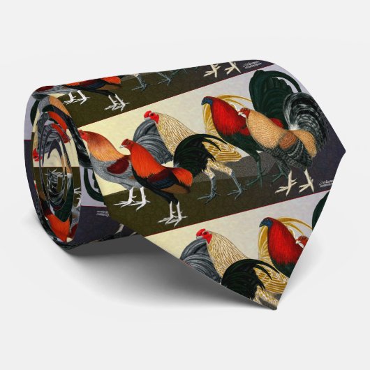 Cravate Équipe Rooster Dream (Roulé)