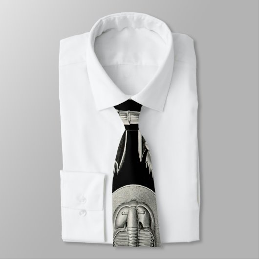 Cravate Ernst Haeckel Aspidonia (Attaché)