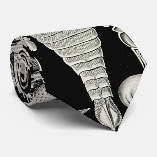 Cravate Ernst Haeckel Aspidonia (Roulé)