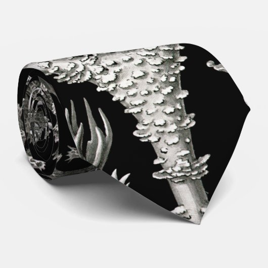 Cravate Ernst Haeckel Lichens (Roulé)