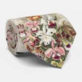 Cravate ErnstHaeckel Vintage Botanical Orchid Illustration (Roulé)