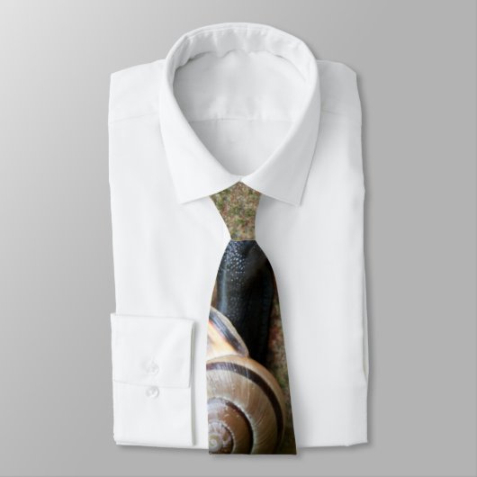 Cravate Escargot (Attaché)