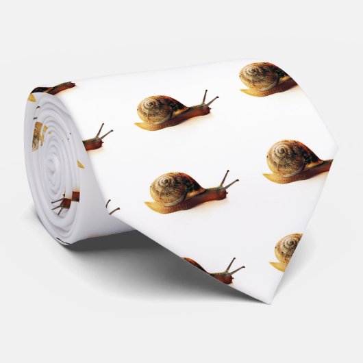 Cravate Escargot (Roulé)
