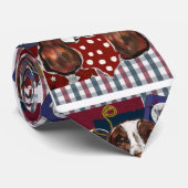 CRAVATE ESPAGNOL DE PLONGÉE ANGLAISE (Roulé)