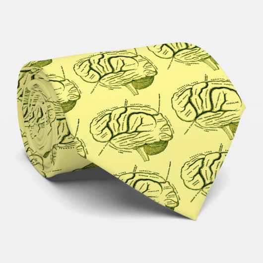 Cravate Esprit humain (Roulé)