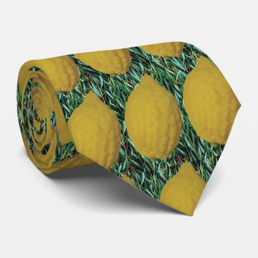 Cravate Esrog et Aravah (Roulé)