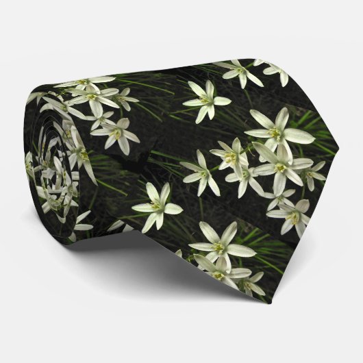 Cravate Étoile de Bethlehem (Roulé)