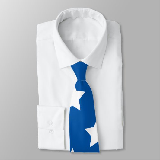 Cravate Étoiles du drapeau américain (Attaché)