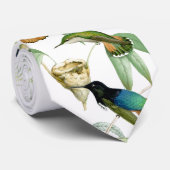 Cravate exotique de collage de colibris (Roulé)