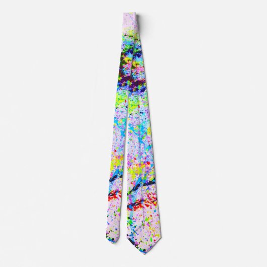 Cravate Explosion des couleurs (Dos)
