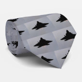 CRAVATE F-22 QUITTANT LA GUAM (Roulé)