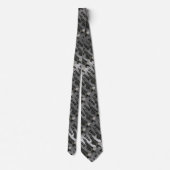 CRAVATE F-22 RAPTOR NECKTIE (Dos)