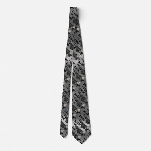CRAVATE F-22 RAPTOR NECKTIE (Dos)