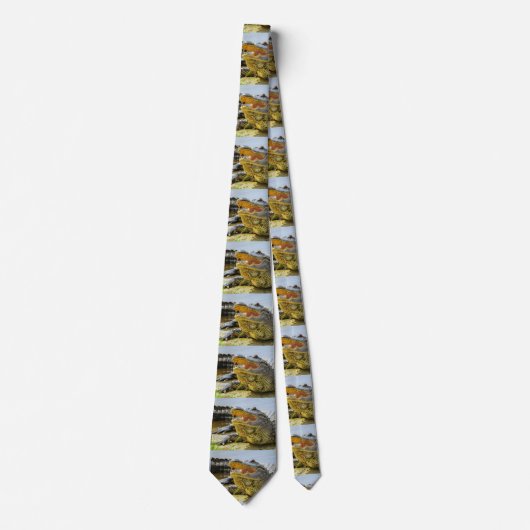 Cravate Face to face neck tie (Devant)