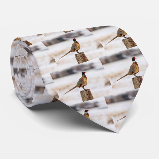 Cravate Faisan (Roulé)