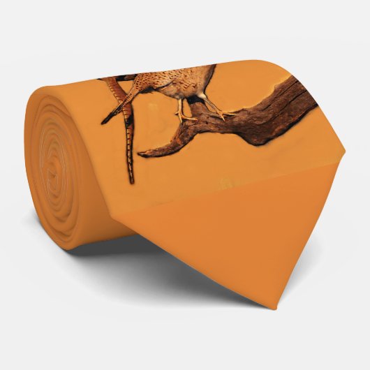 Cravate faisan d'Anneau-cou (le Dakota du Sud) (Roulé)